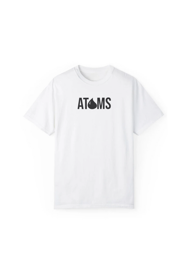 The Structure of an Atom Tee