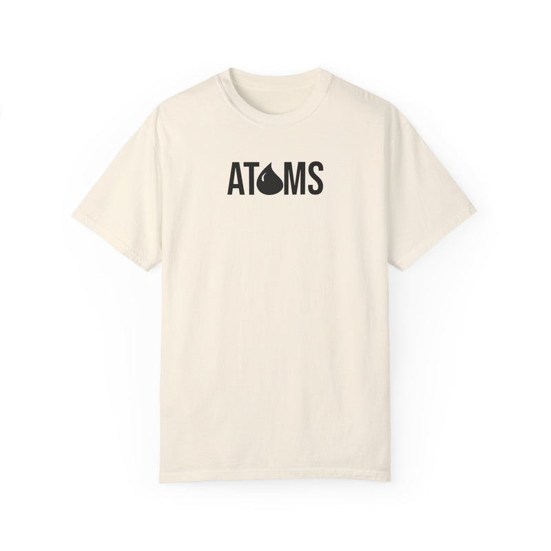 The Structure of an Atom Tee