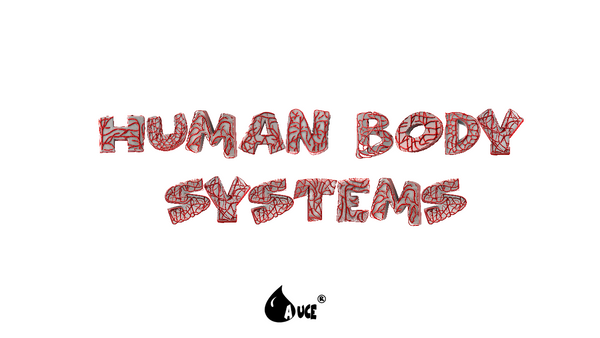 Body Systems