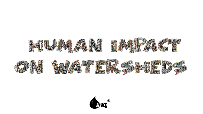 Human Impact on Watersheds