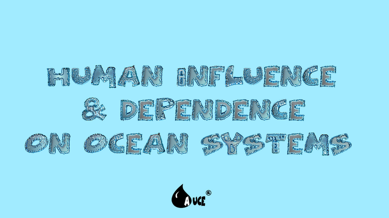 Human Influence and Dependence on Ocean Systems