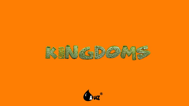 Kingdoms