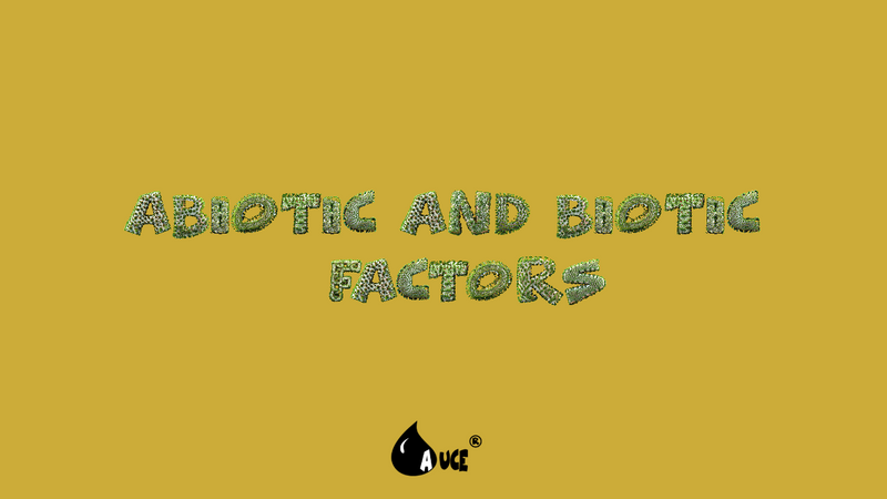 Abiotic and Biotic Factors