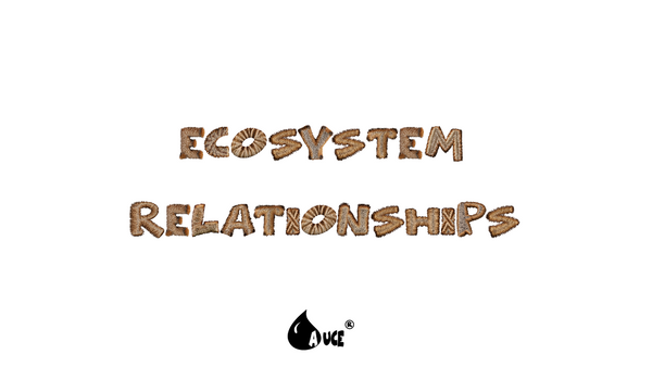 Ecosystem Relationships