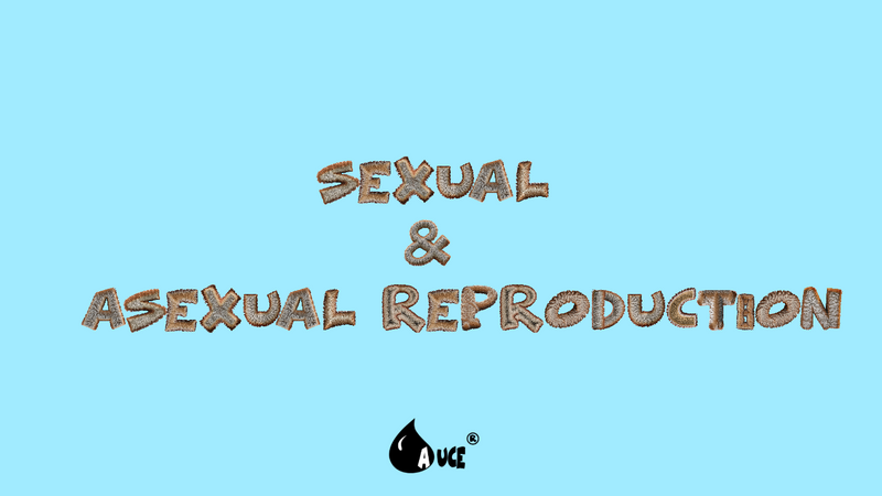 Asexual and Sexual Reproduction