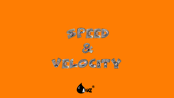 Speed and Velocity